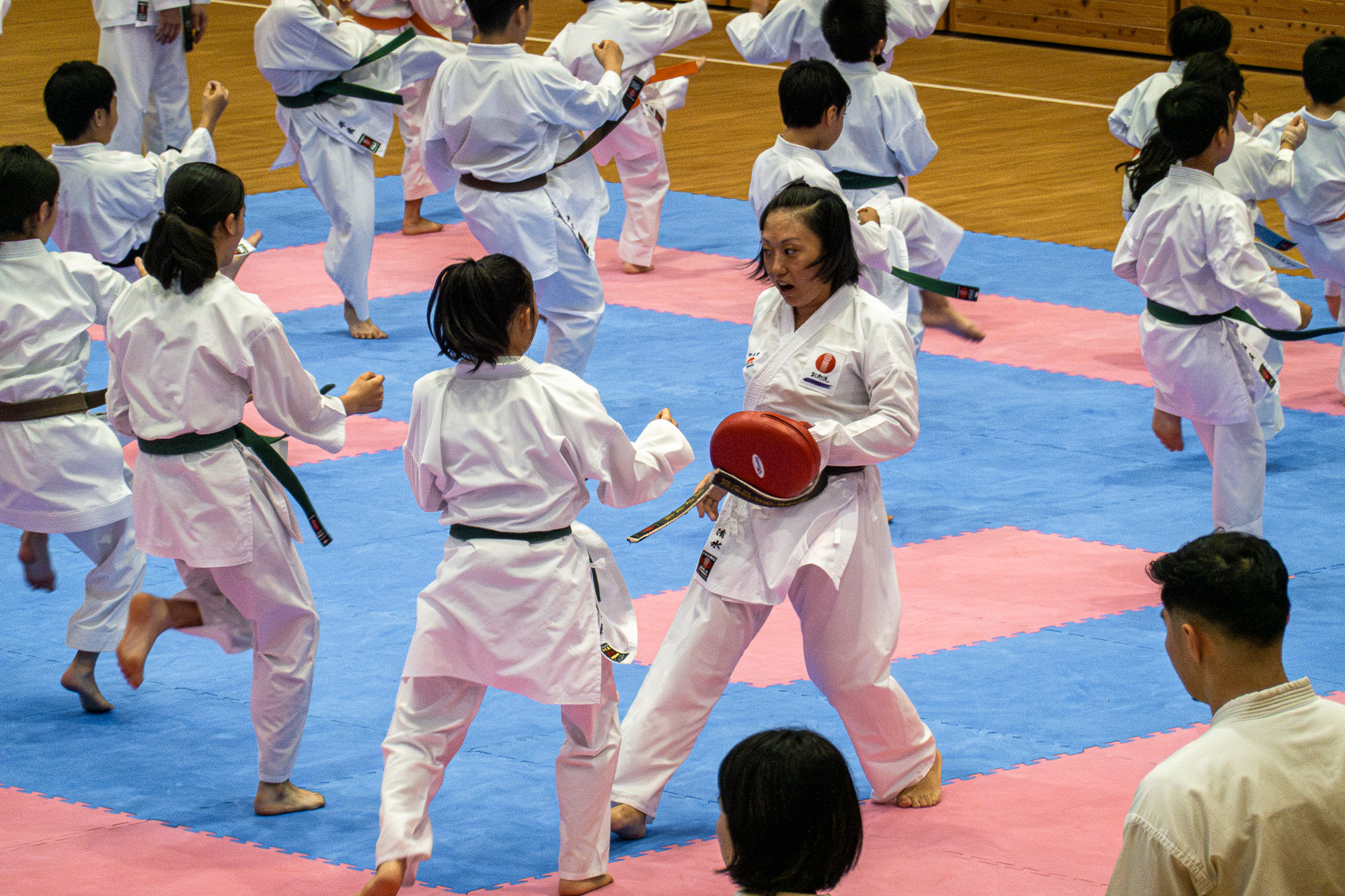 4 In 80 Tagen um die Welt - Ein Besuch in der Okinawa Karate Hall DSC09442-Verbessert-RR